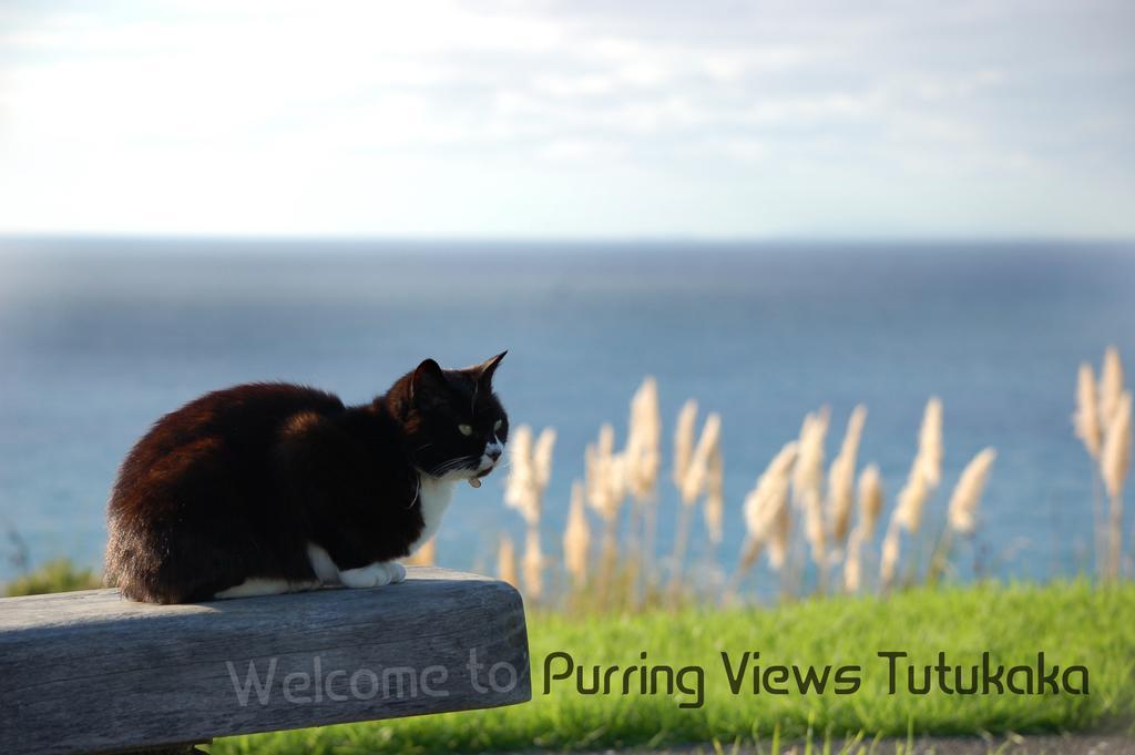 Ocean Purring Views Hotel Tutukaka Luaran gambar